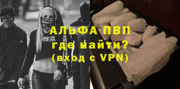 индика Абаза