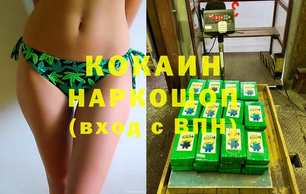 индика Абаза