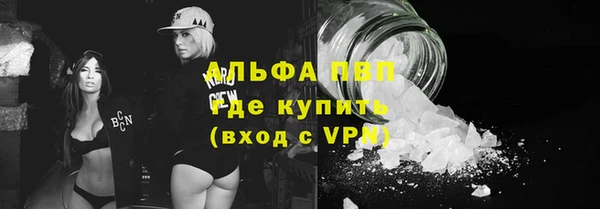 индика Абаза
