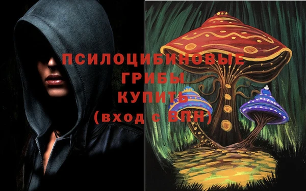 индика Абаза