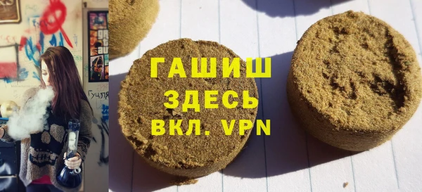 индика Абаза