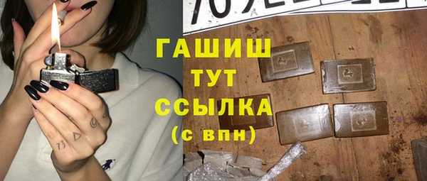 индика Абаза