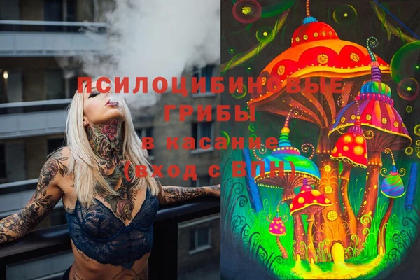 индика Абаза