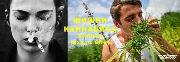 индика Абаза