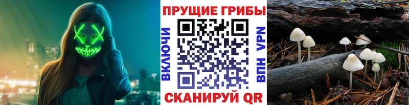 Псилоцибиновые грибы мухоморы  закладка  Барыш 